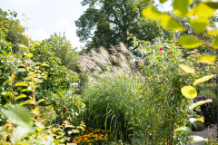 200830-garten-004