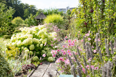200830-garten-006