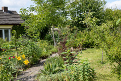 200830-garten-007