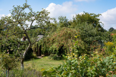 200830-garten-010