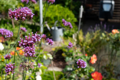 200830-garten-017
