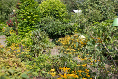 200830-garten-027