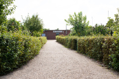 200830-garten-030