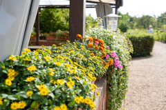 200830-garten-033