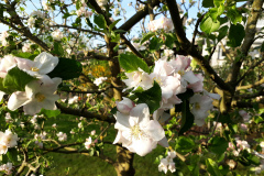 20180419_192006
