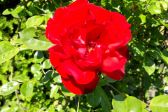 20180521_114719